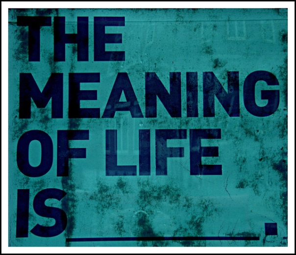 meaning-of-life1